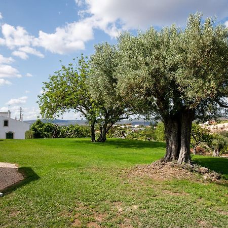 Cerca Velha - Country House Албуфейра Екстериор снимка